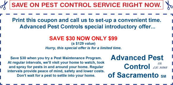 Sacramento Pest Control Coupon